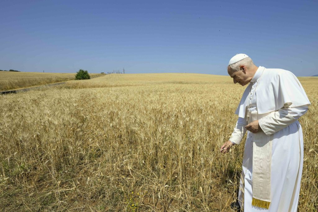 Il papa sfiora con le mani delle spighe in un campo. II cielo è azzurro.